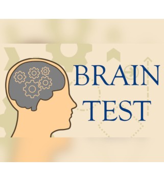 Brain Test Steam Key GLOBAL